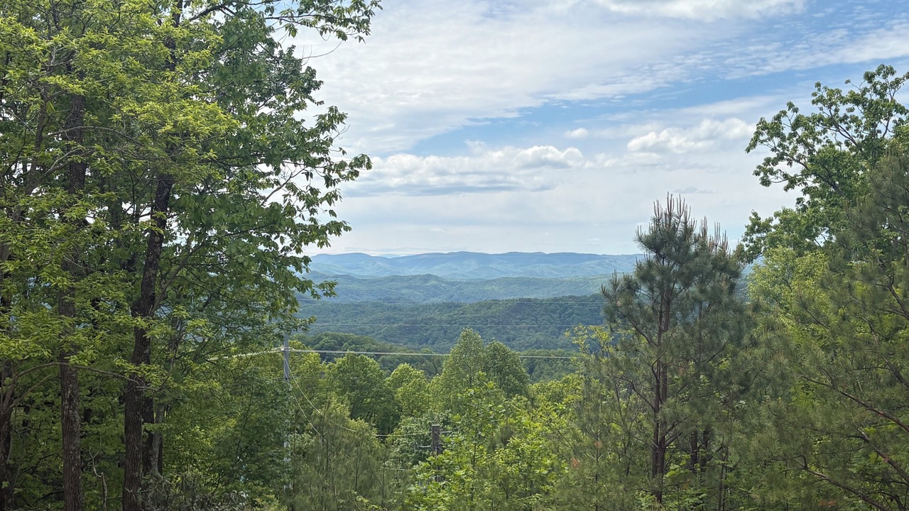 Photo of Others in Lenoir