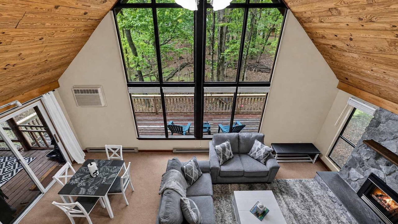 Photo of Outdoor in The Woods