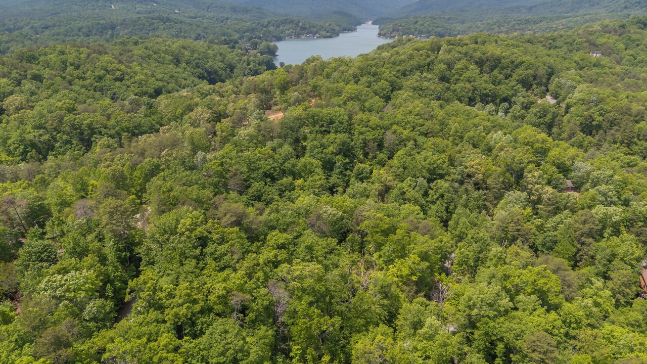 Photo of Others in Lake Lure