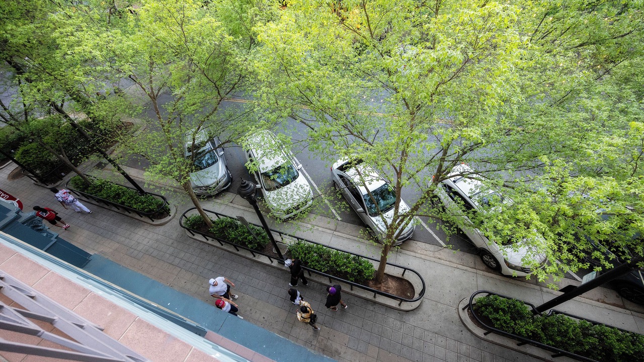 Photo of Outdoor in Greenville Downtown