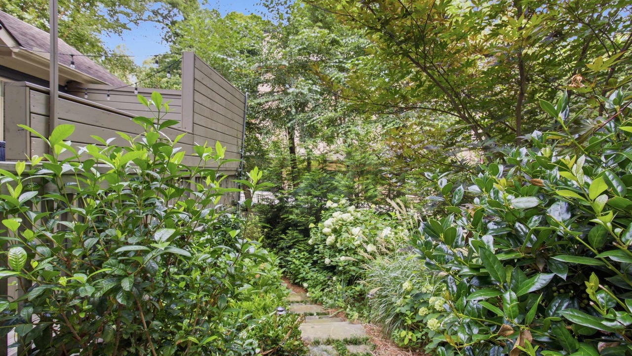 Photo of Outdoor in Piedmont Heights