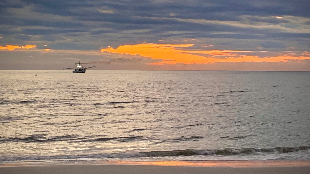 Photo of Others in Daufuskie Island