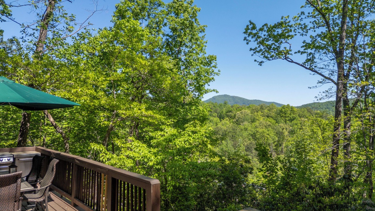 Photo of Outdoor in Lake Lure