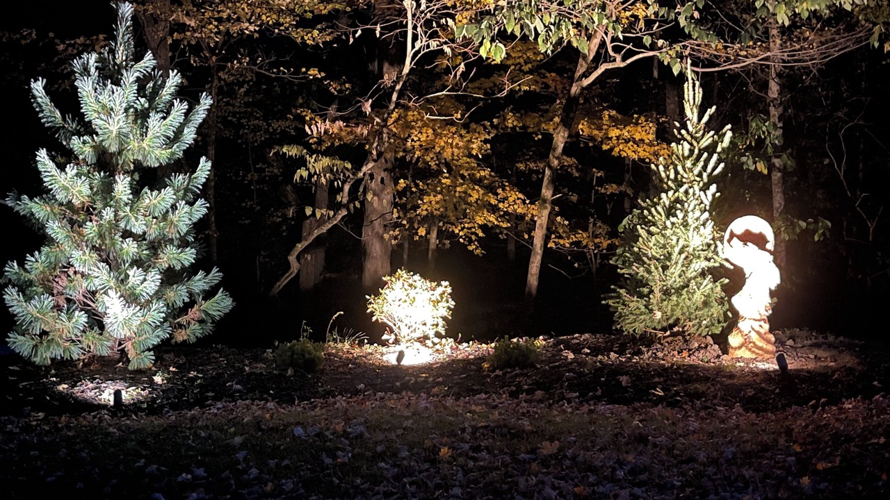 Photo of Outdoor in Vallonia
