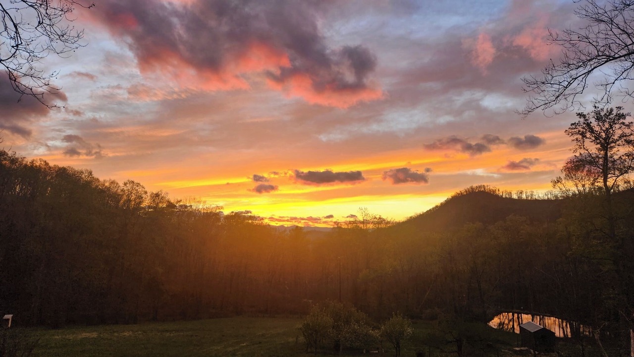 Photo of Others in Weaverville