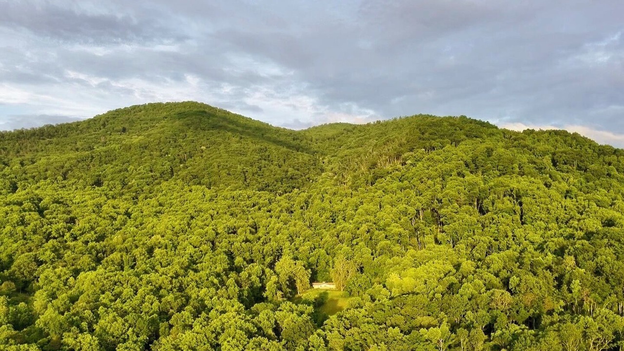 Photo of Others in Weaverville