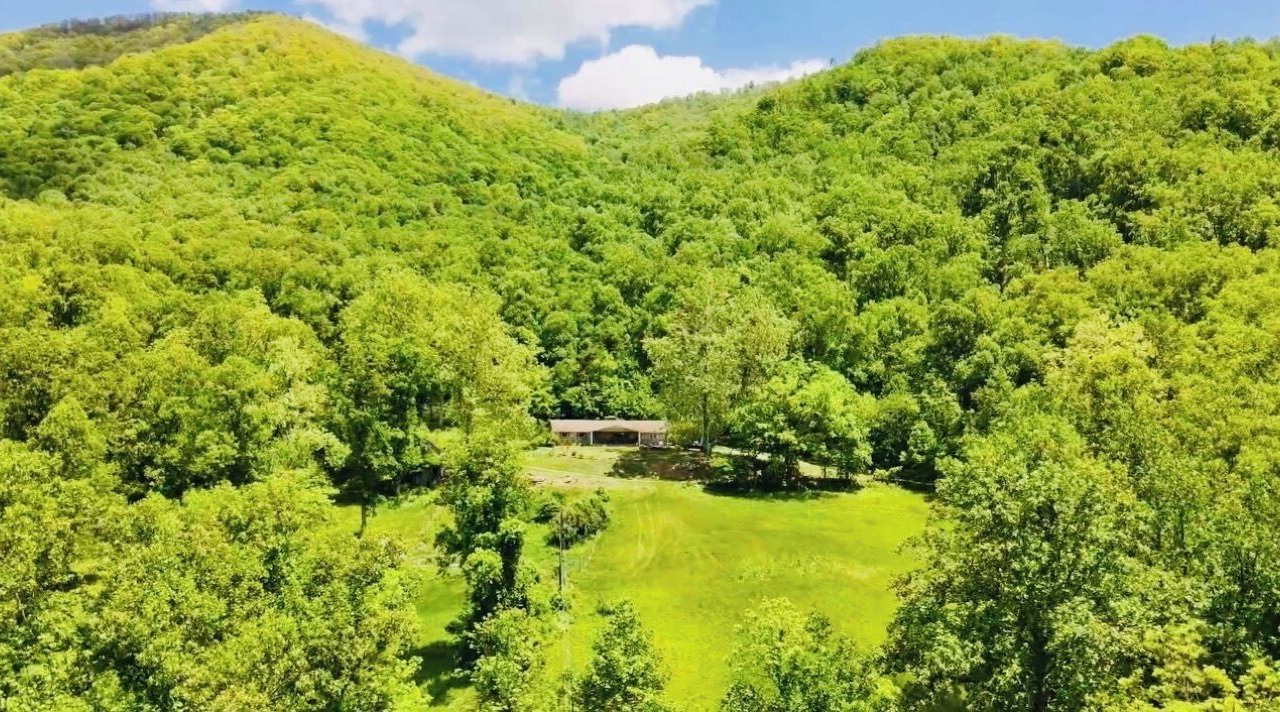 Photo of Others in Weaverville