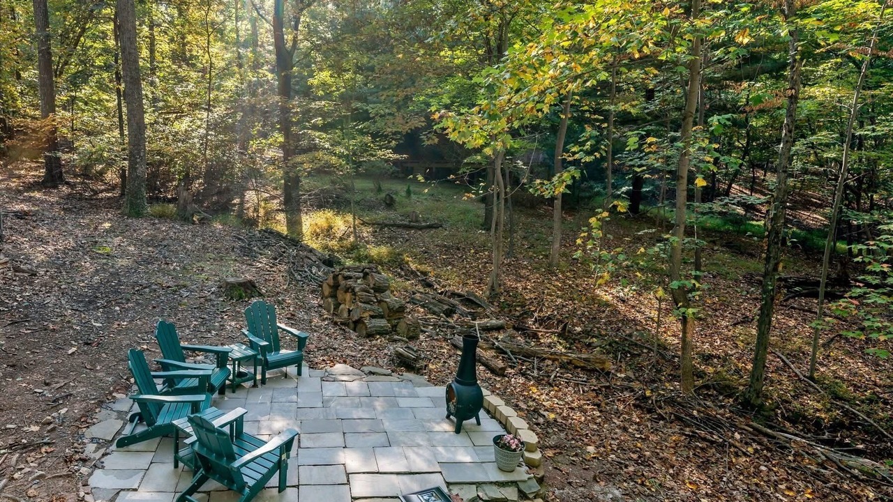 Photo of Outdoor in The Woods