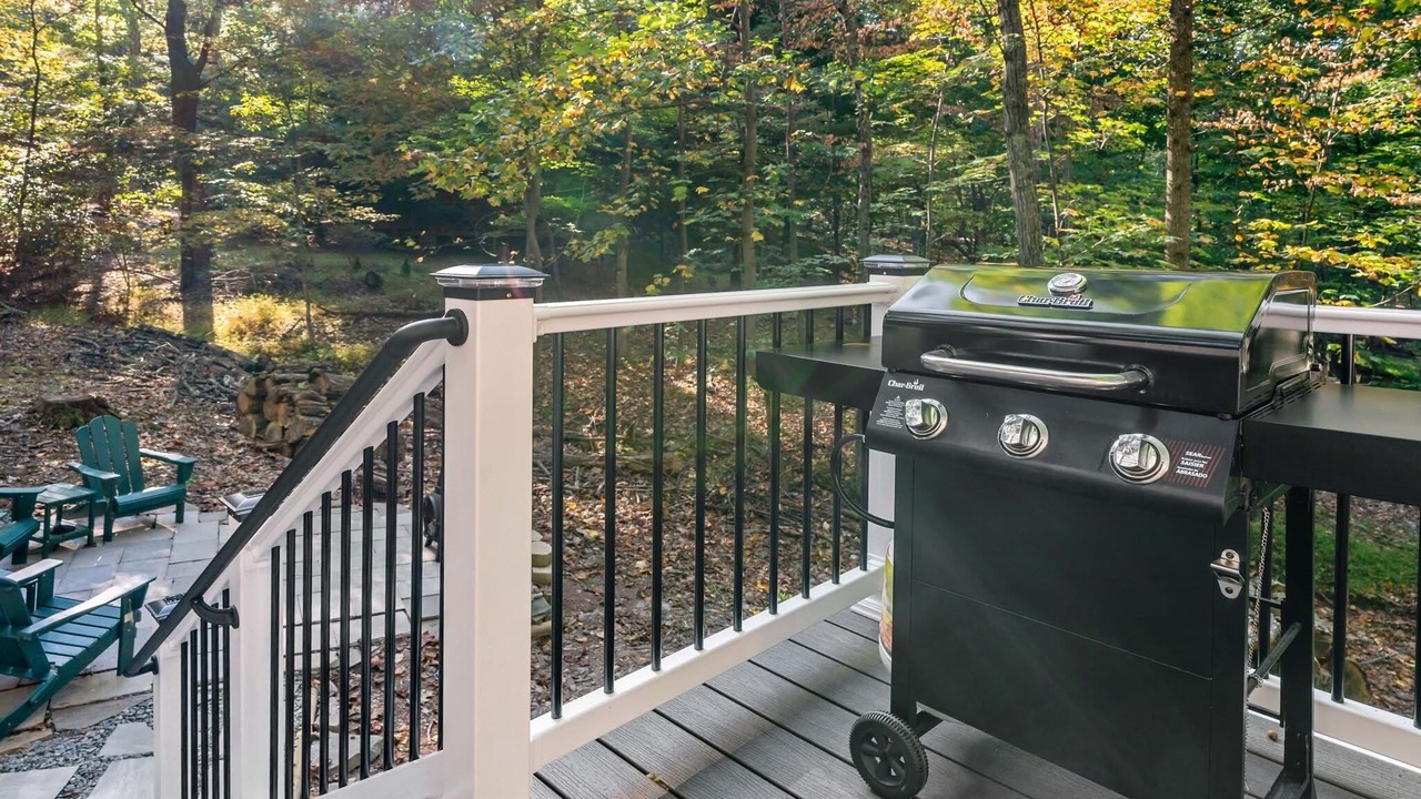 Photo of Outdoor in The Woods