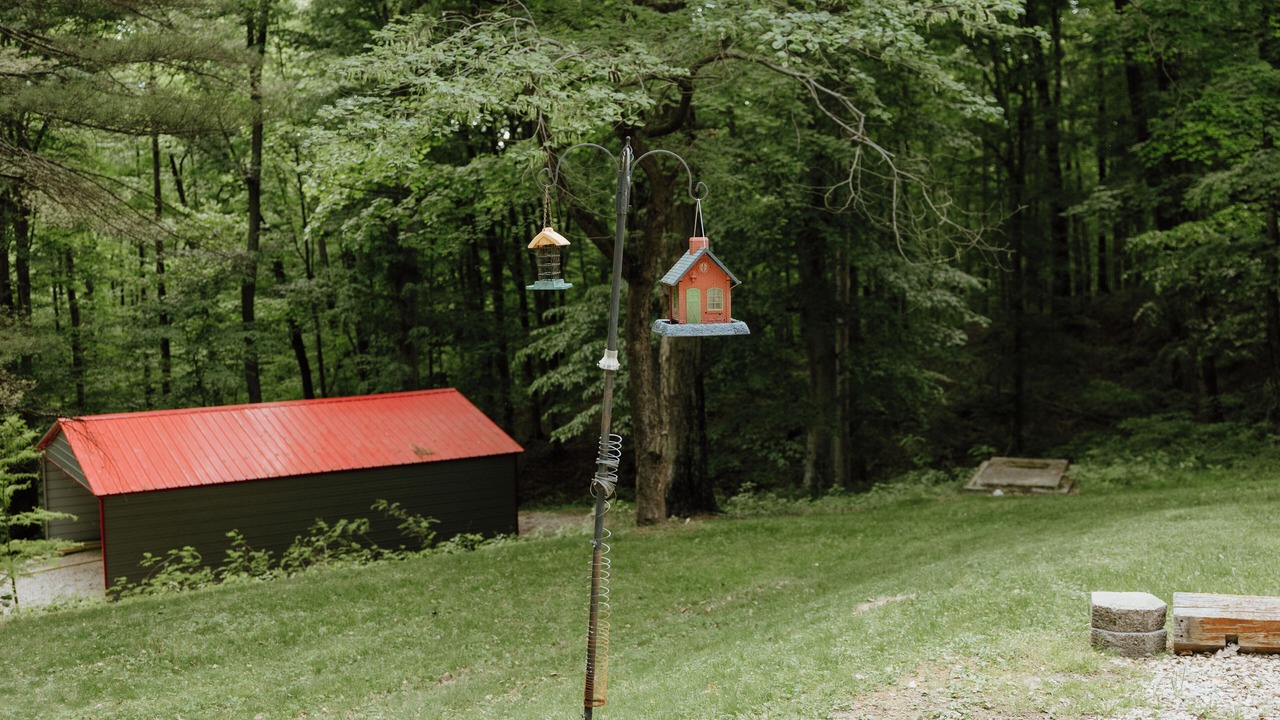 Photo of Outdoor in Shoals