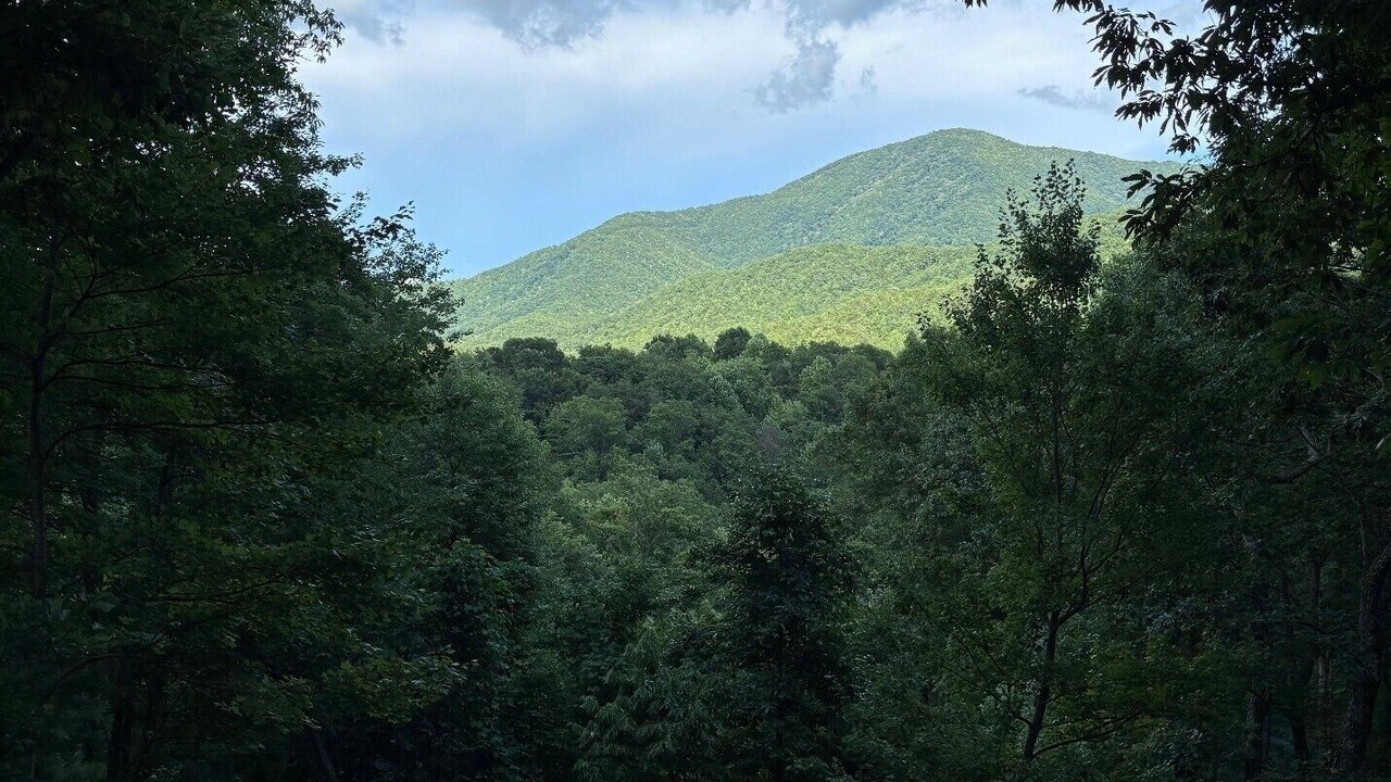 Photo of Patio Balcony in Wears Valley