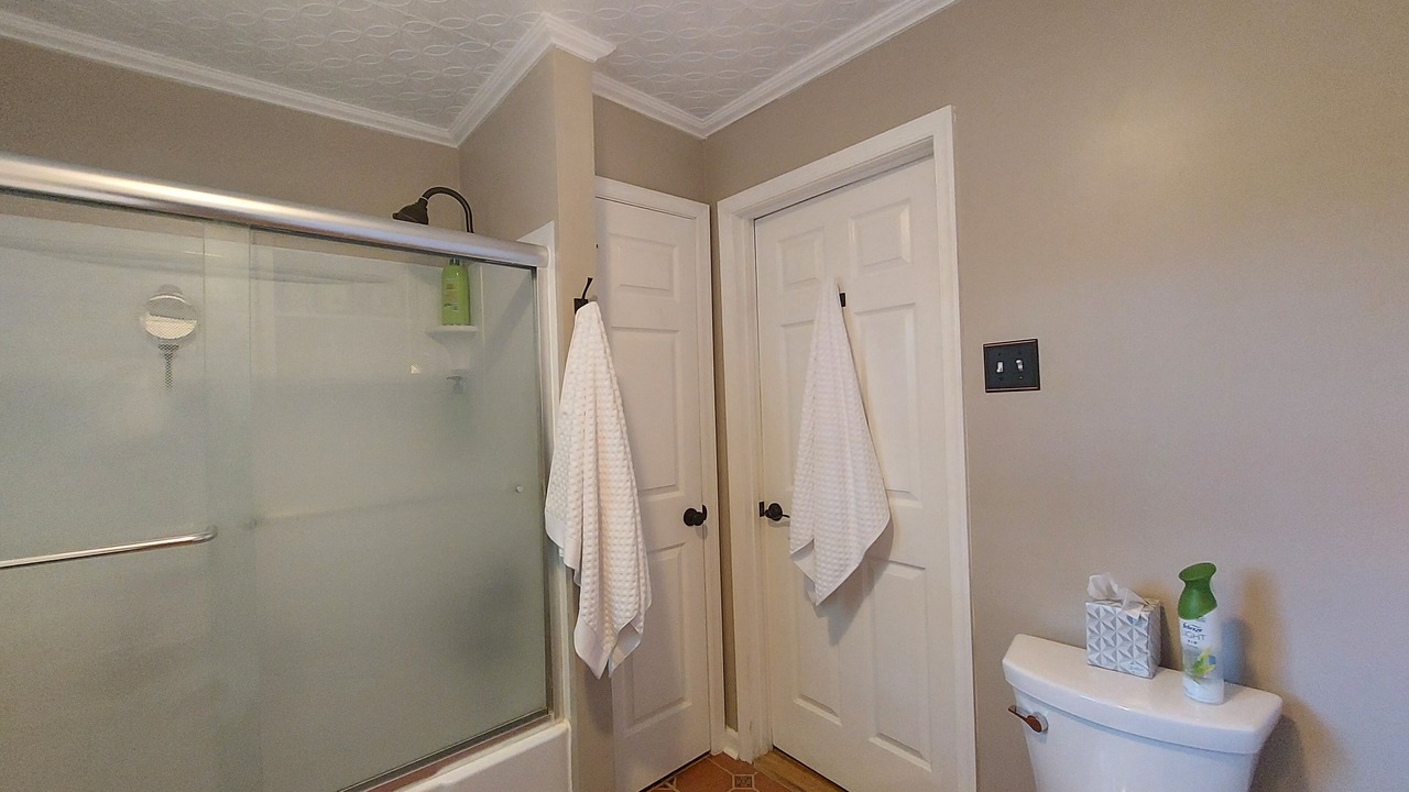Photo of Bathroom in Bolivar