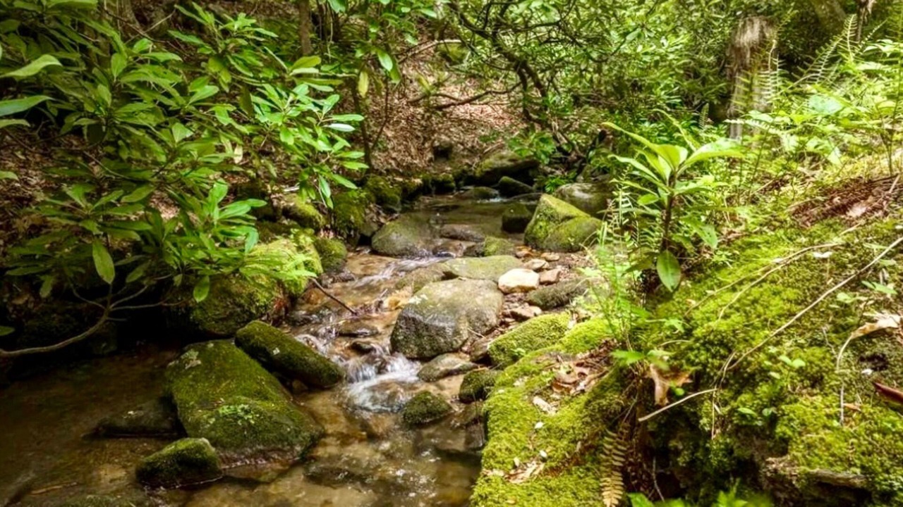 Photo of Outdoor in Highlands