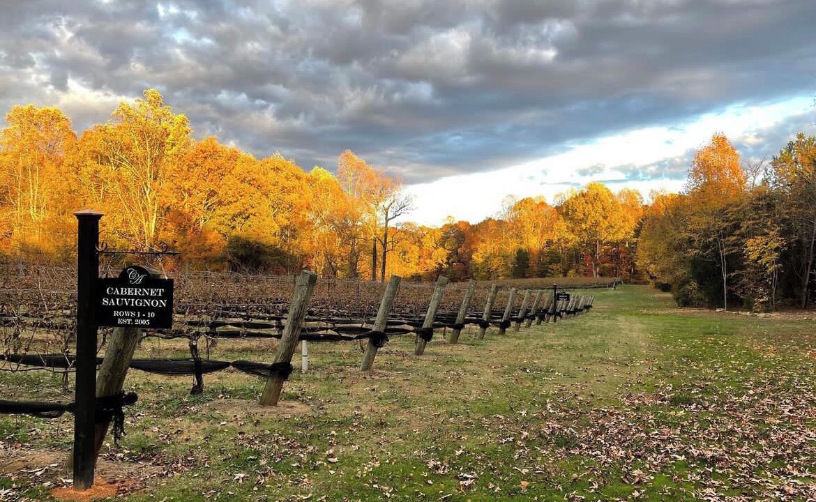 Photo of Outdoor in Lexington - Salisbury