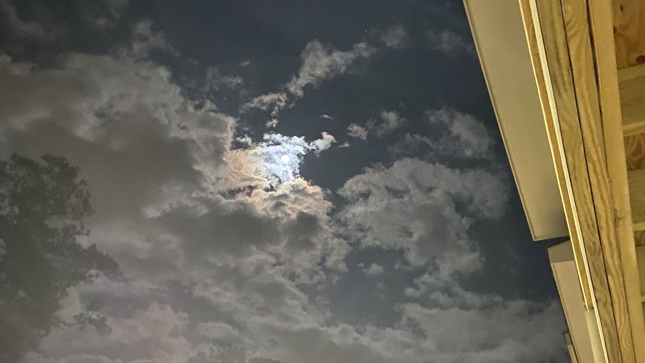 Photo of Outdoor in Wilmington