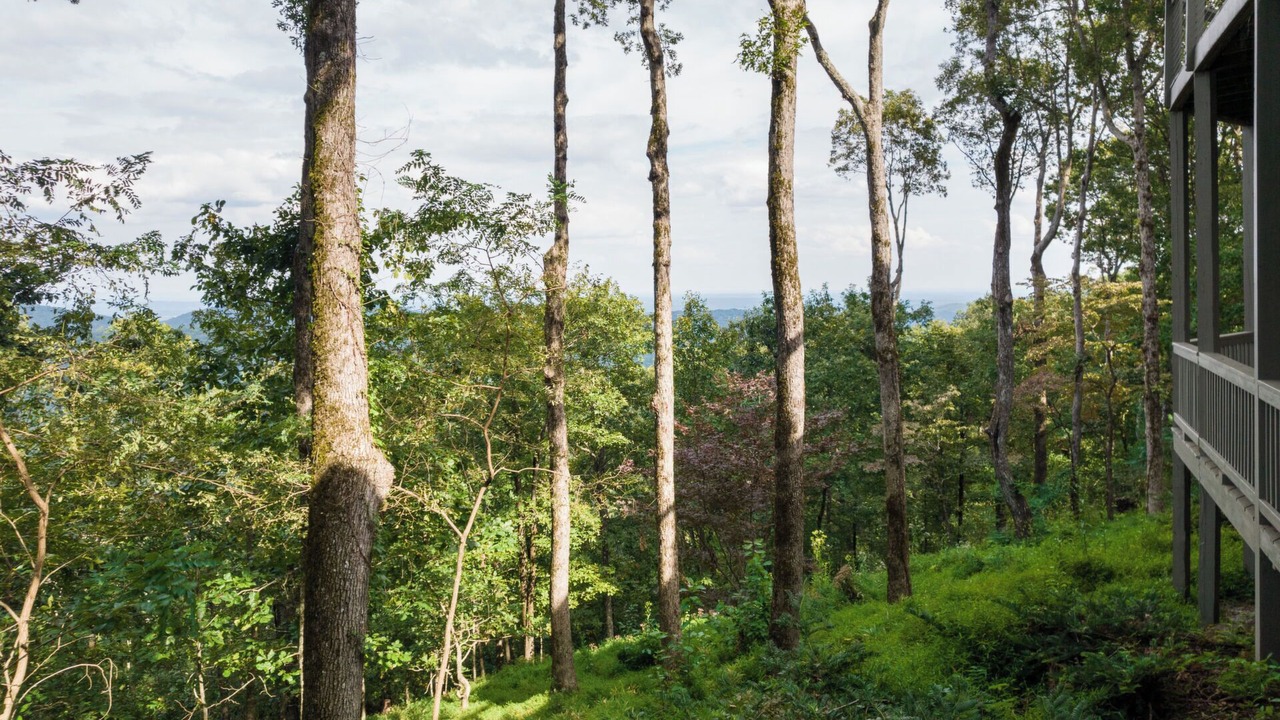 Photo of Outdoor in Big Canoe