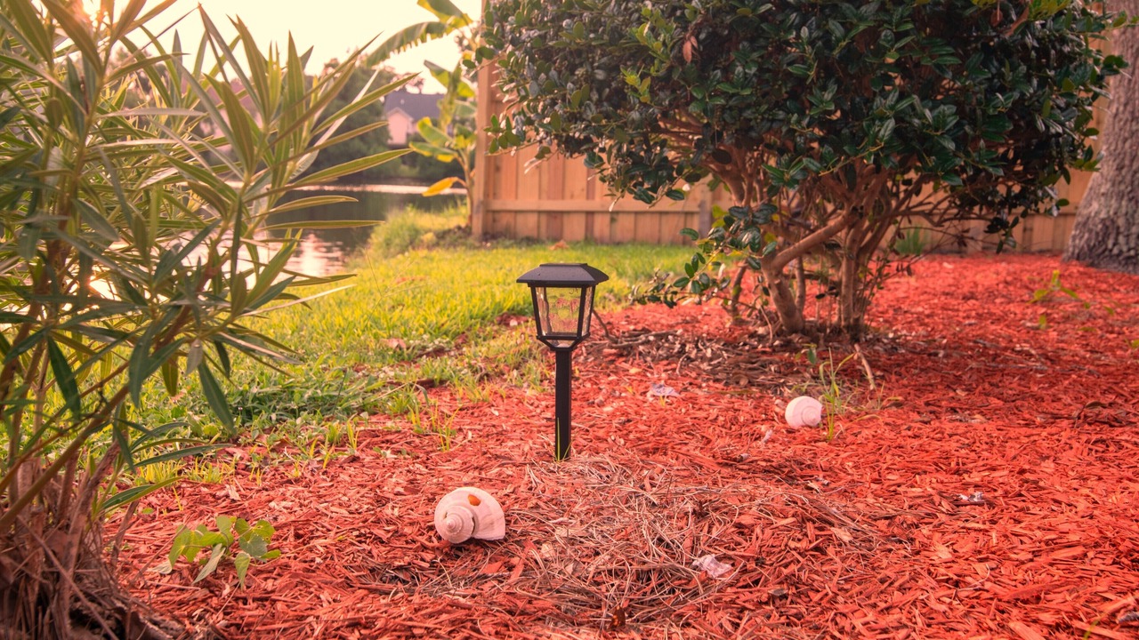 Photo of Outdoor in Whitemarsh Island