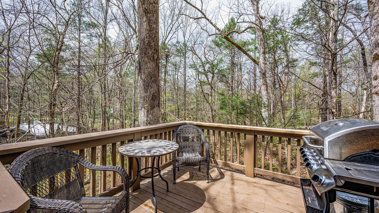 Photo of Outdoor in Townsend