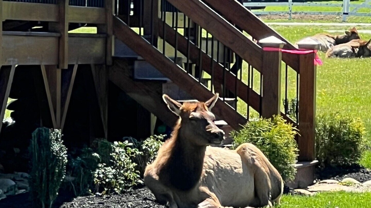 Photo of Others in Maggie Valley