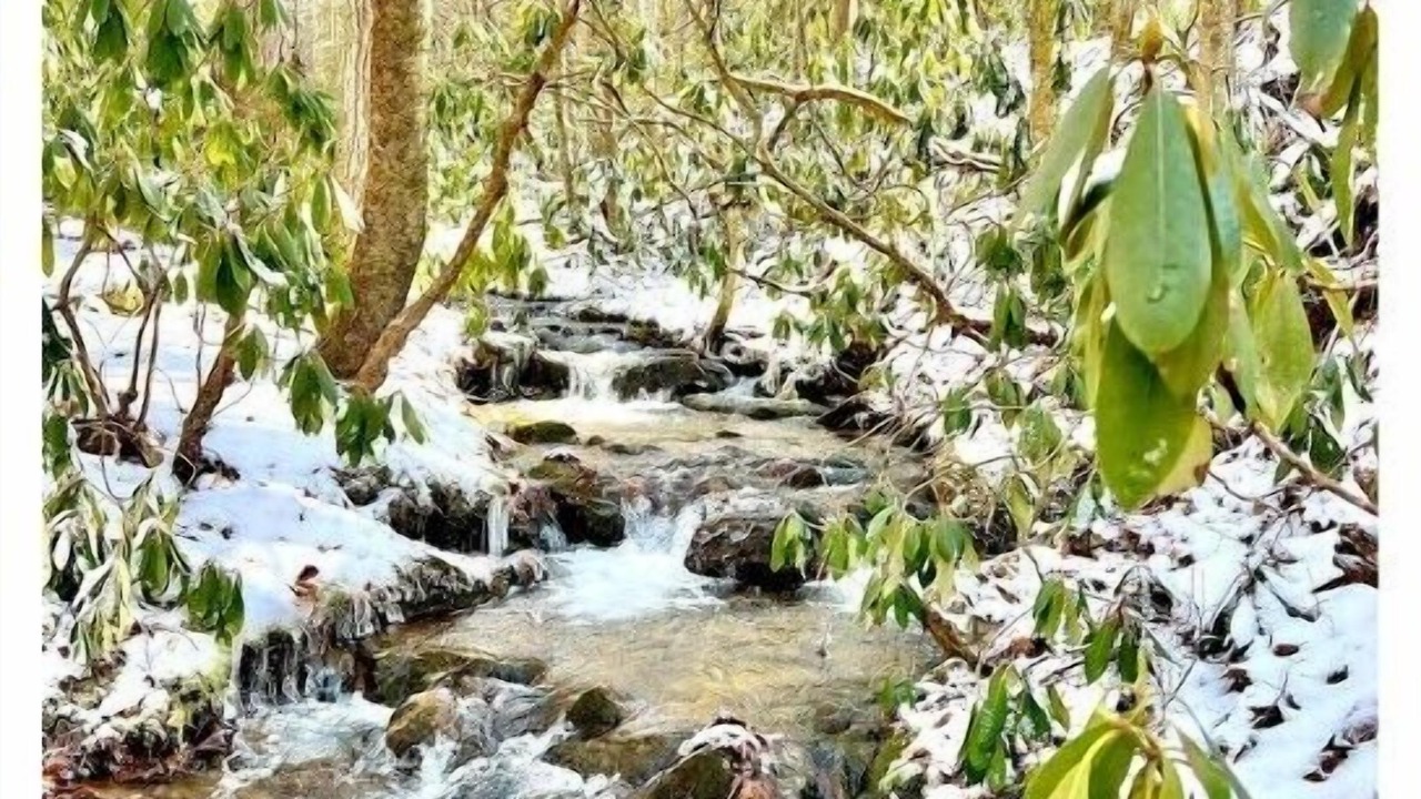 Photo of Outdoor in Mountain City