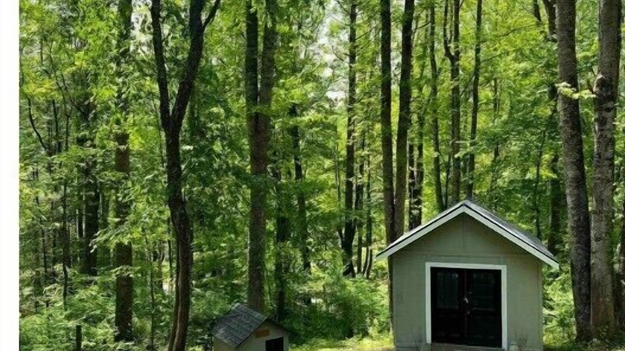 Photo of Outdoor in Mountain City