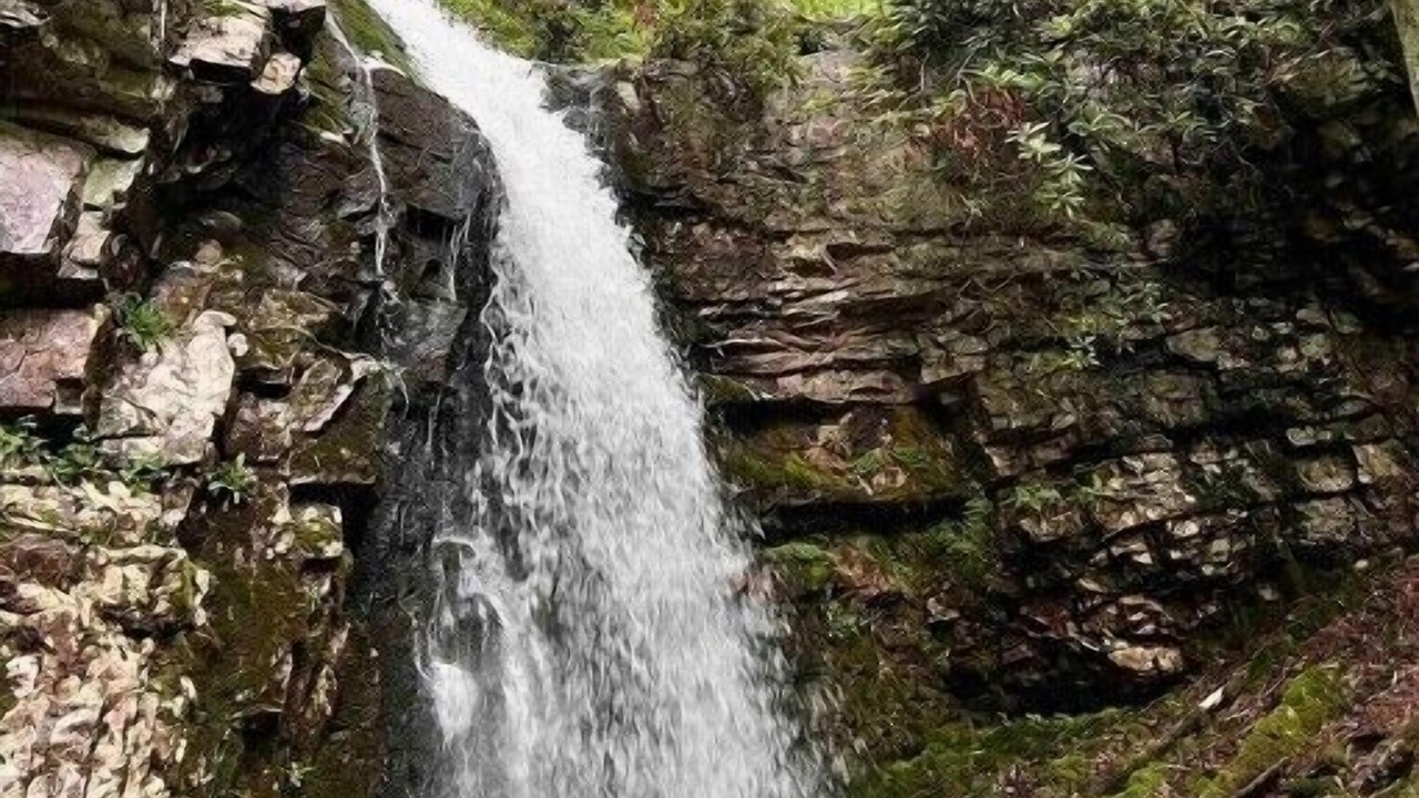 Photo of Others in Mountain City