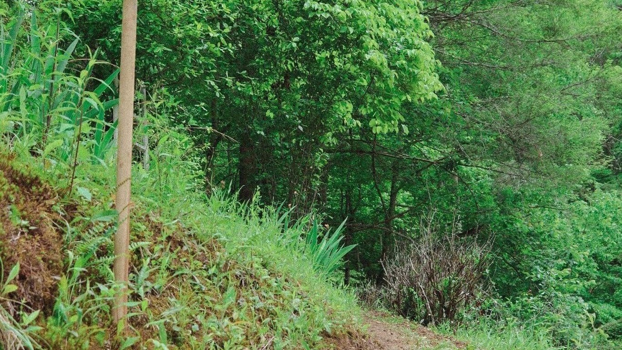 Photo of Outdoor in Pittman Center