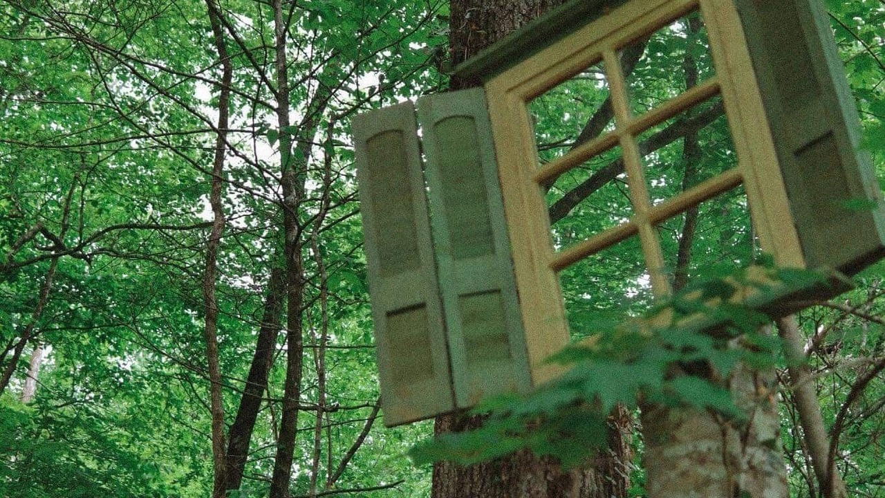 Photo of Outdoor in Pittman Center