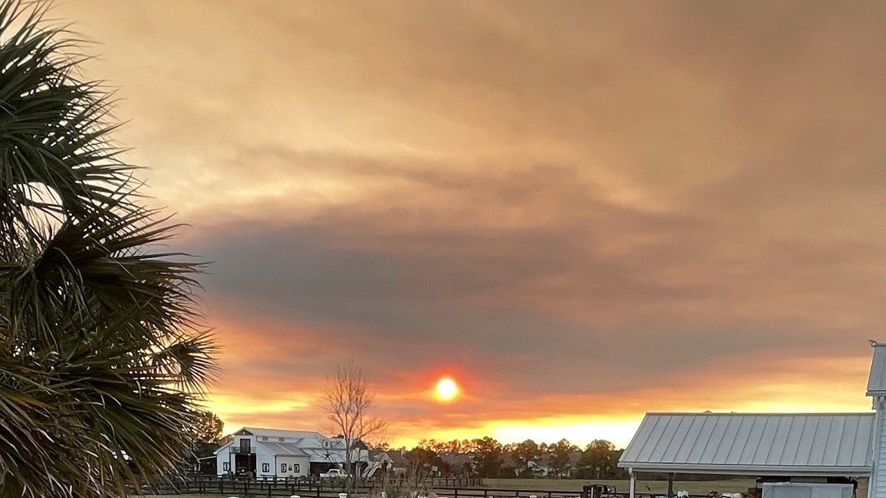 Photo of Outdoor in Carolina Shores