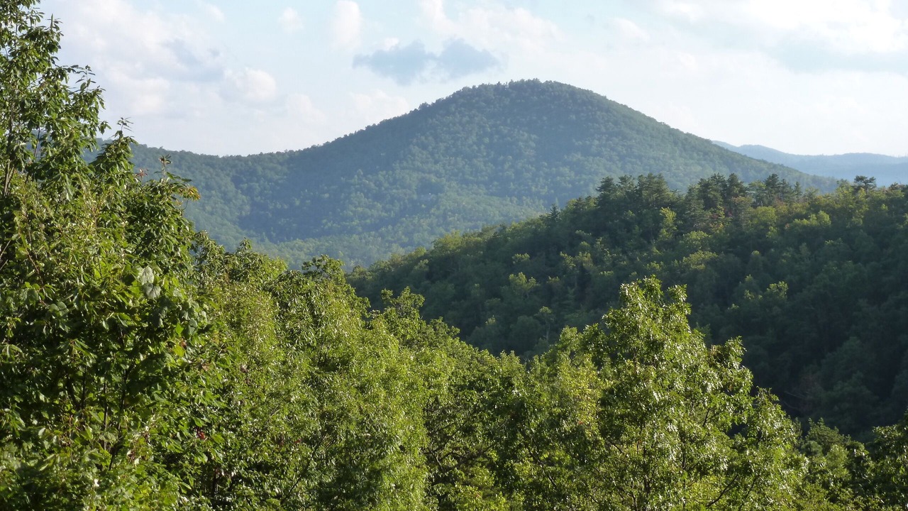 Photo of Others in Black Mountain