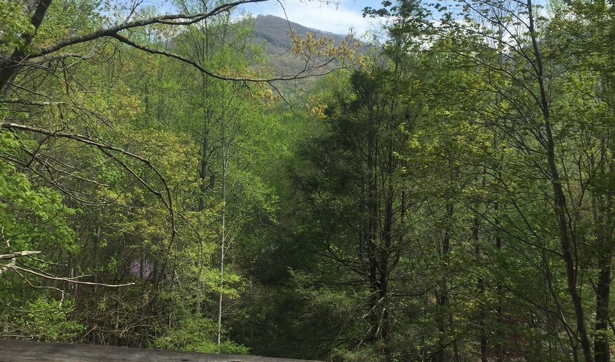 Photo of Outdoor in Maggie Valley