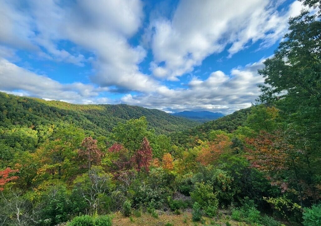 Photo of Others in Black Mountain