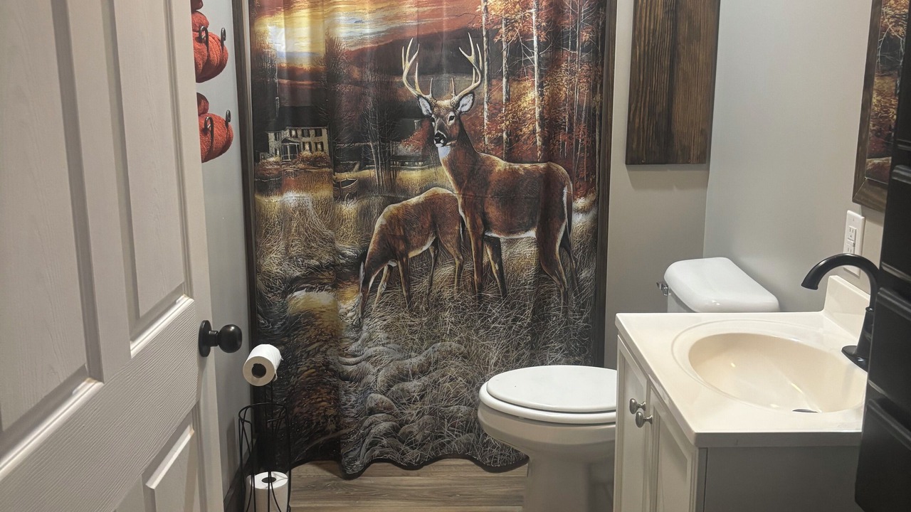 Photo of Bathroom in Rogersville