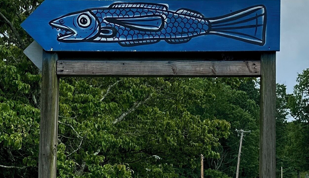 Photo of Others in Wilson Creek