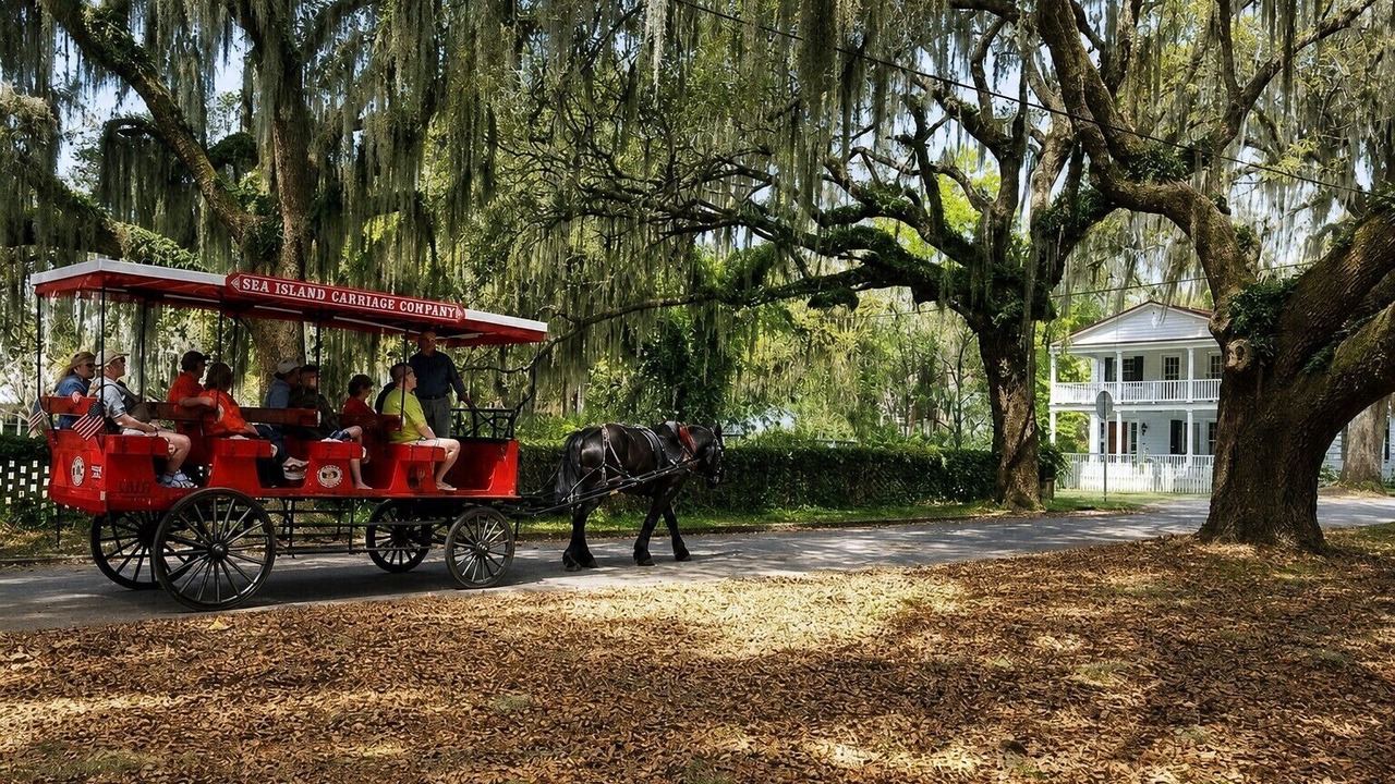Photo of Others in Port Royal