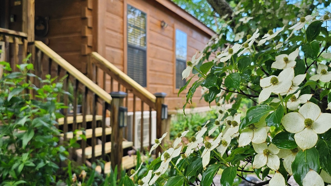 Photo of Outdoor in Sevierville