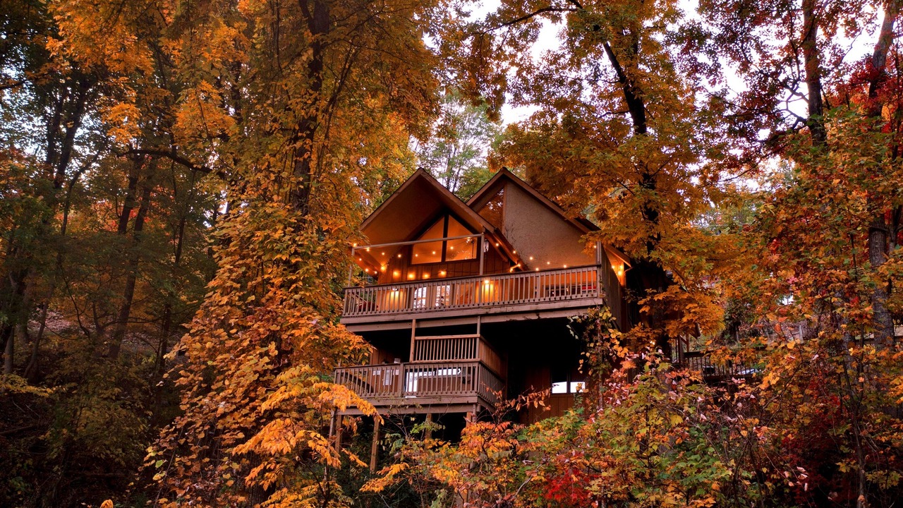 Photo of Others in Chalet Village