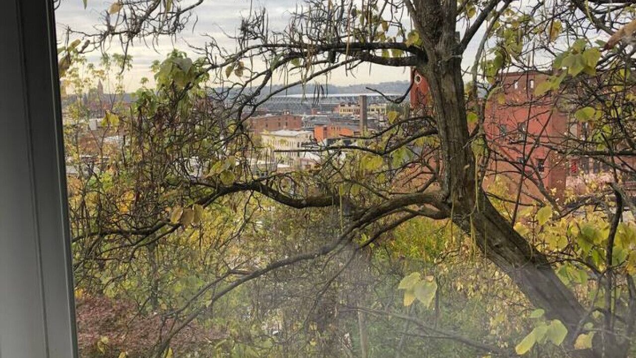Photo of Others in Over-the-Rhine