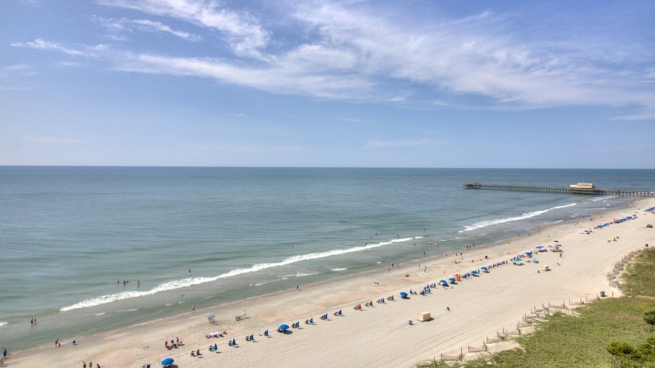 Photo of Others in Arcadian Shores