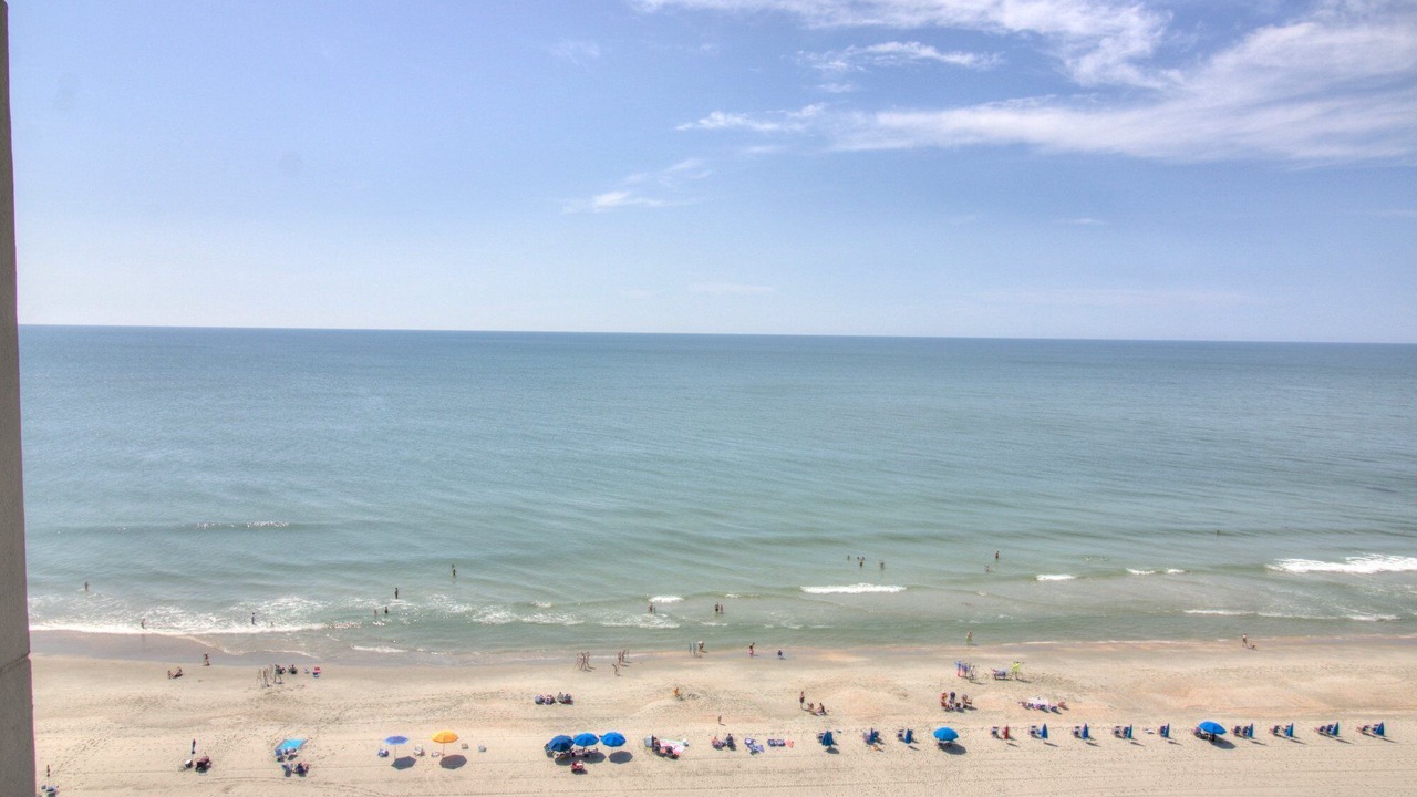 Photo of Others in Arcadian Shores