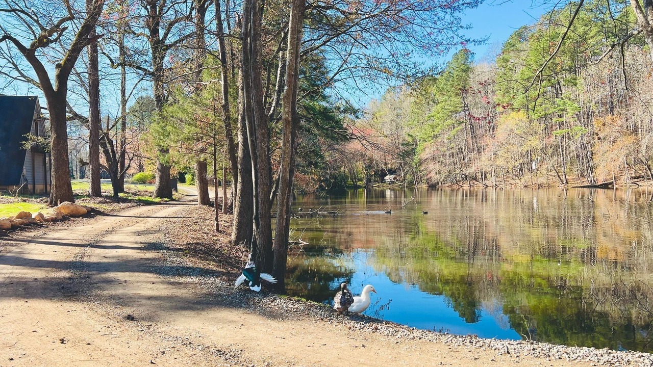 Photo of Others in Bynum