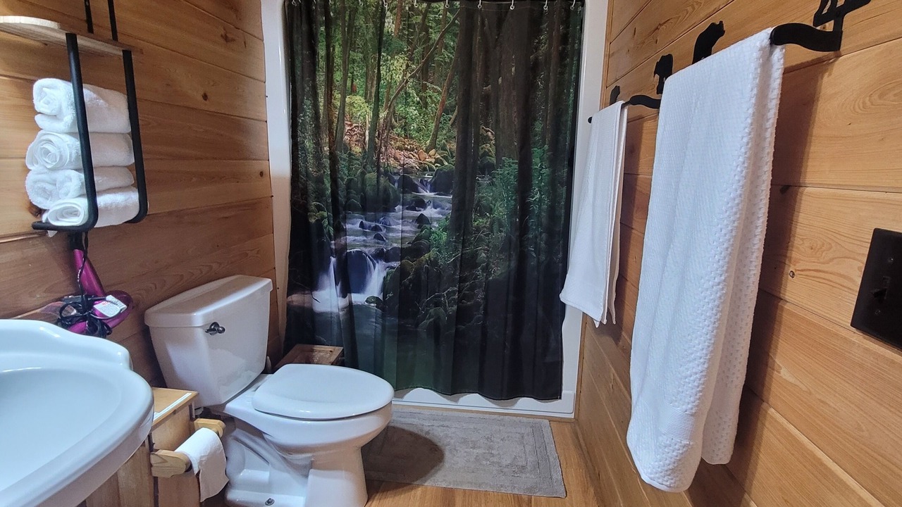 Photo of Bathroom in Hiawassee