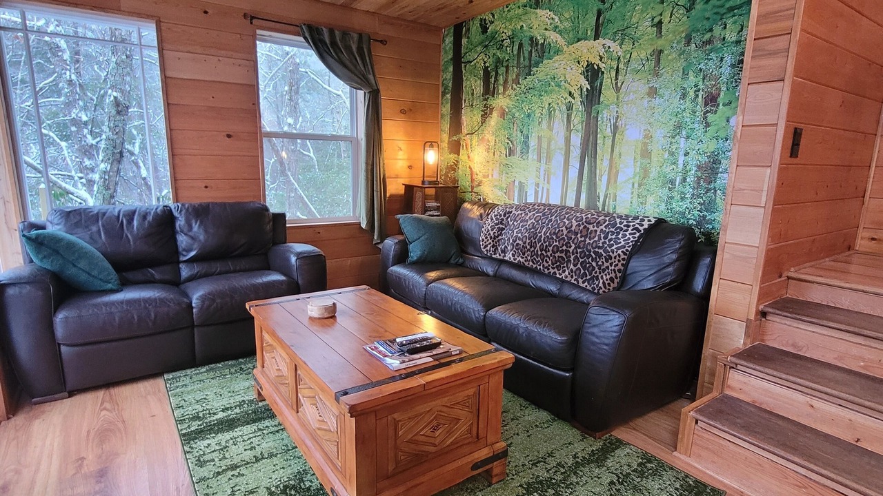 Photo of Livingroom in Hiawassee
