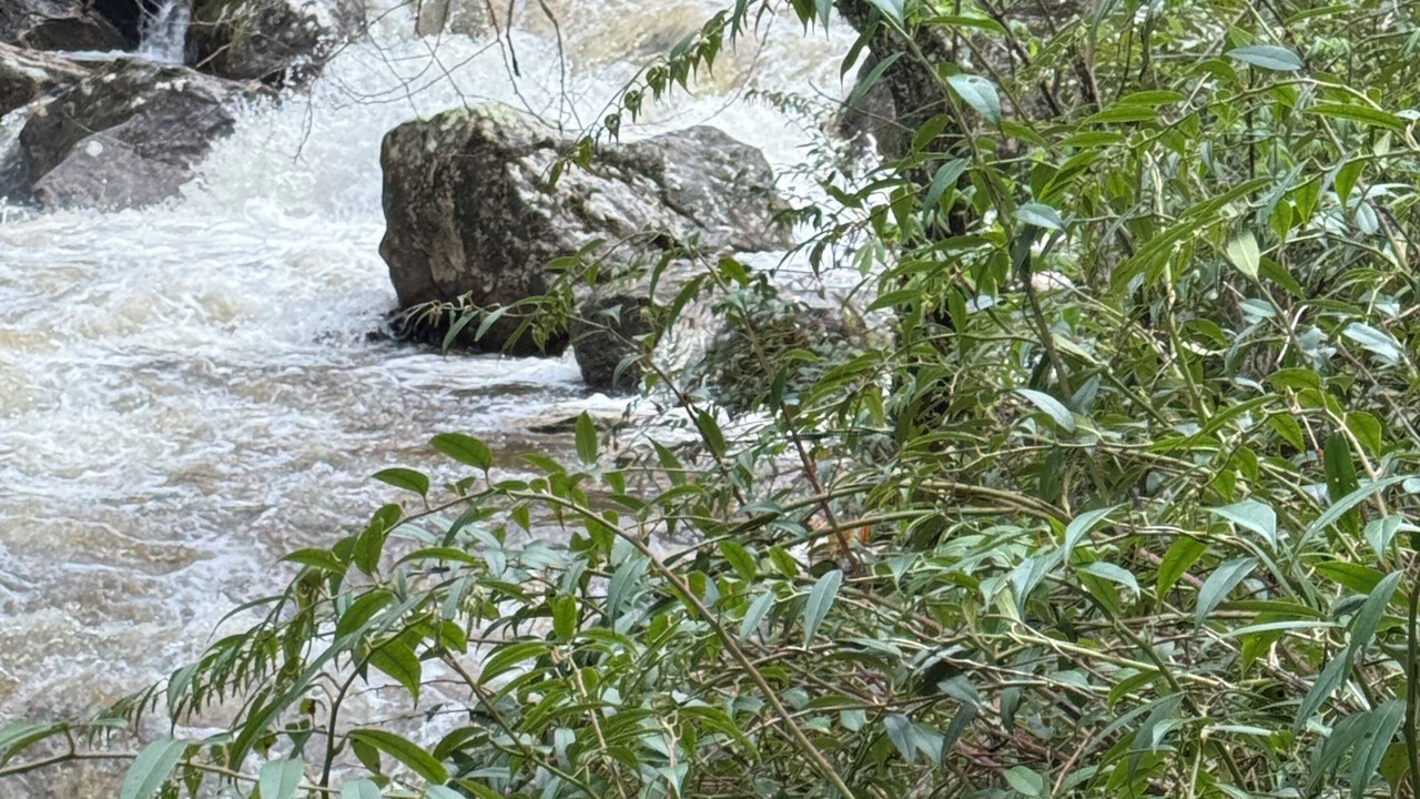 Photo of Others in Highlands