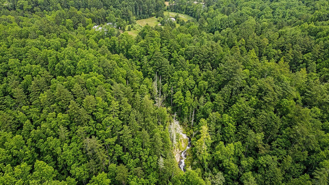 Photo of Outdoor in Cashiers