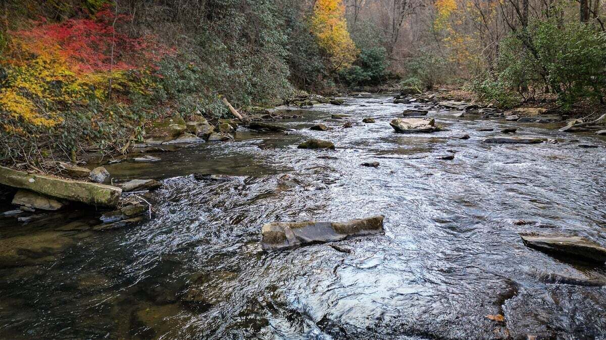 Photo of Others in Ellijay