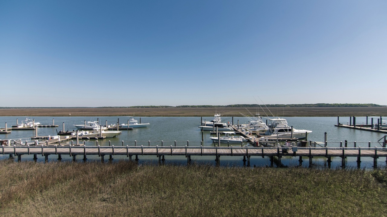 Photo of Others in Edisto Island