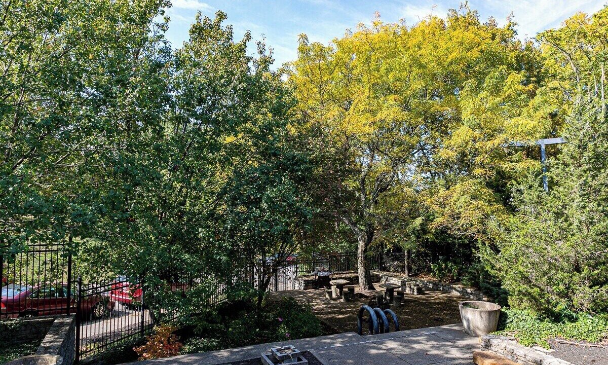 Photo of Outdoor in Mount Adams