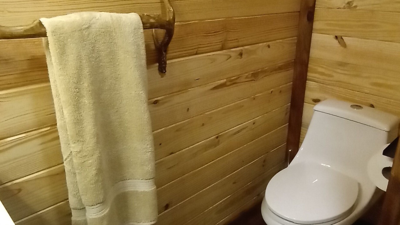 Photo of Bathroom in Pickens