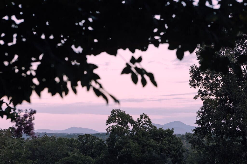 Photo of Others in Dahlonega